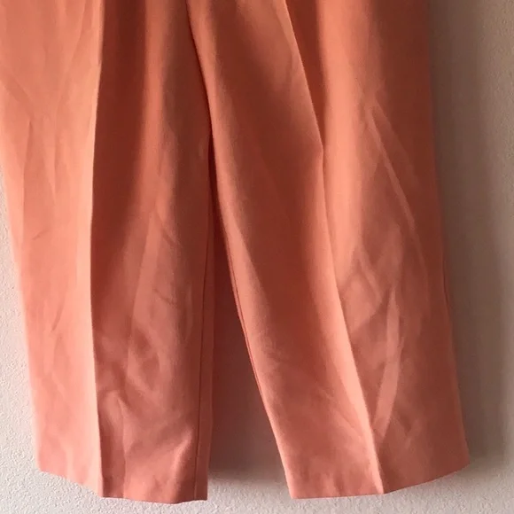 ❤️Briggs New York peach pull on pants size 10 polyester rayon - Picture 3 of 4